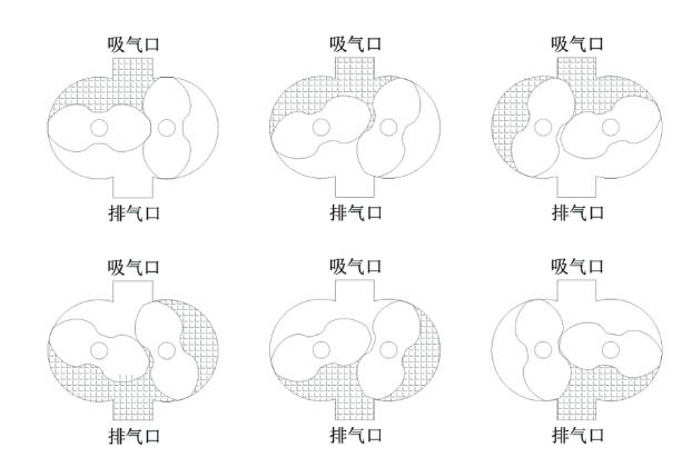 进口罗茨真空泵工作原理图